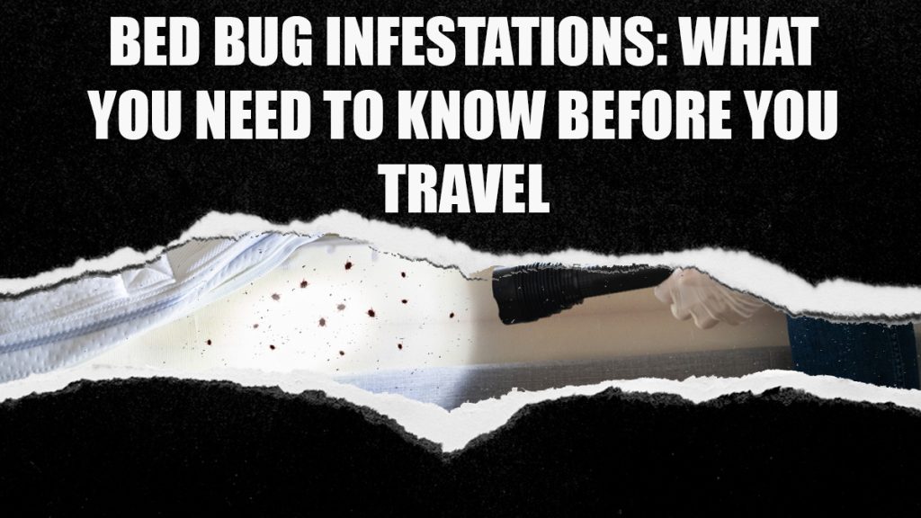 Bed Bug Infestations What You Need to Know Before You Travel