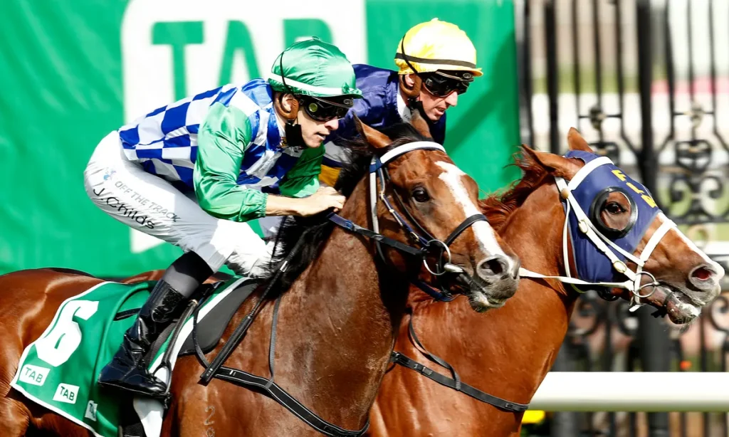 Believing These 6 Myths About Gaming On the Melbourne Cup Can Keep You From Growing in Australia